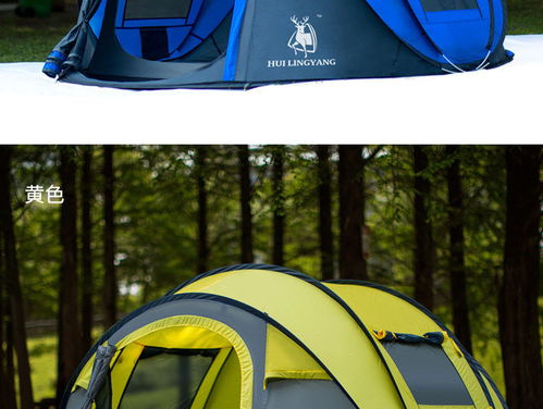 汤河店 自动帐篷新款3 4人速开抛帐野营户外用品